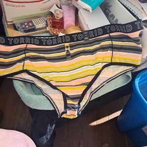 Torrid Striped Briefs
